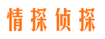 眉山市侦探调查公司